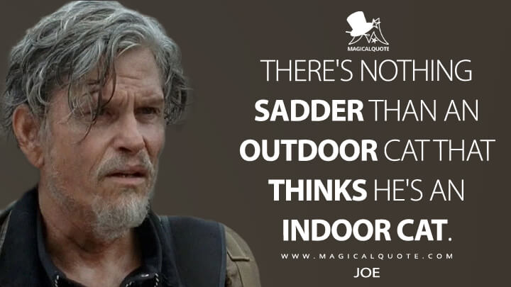 There's nothing sadder than an outdoor cat that thinks he's an indoor cat. - Joe (The Walking Dead Quotes)