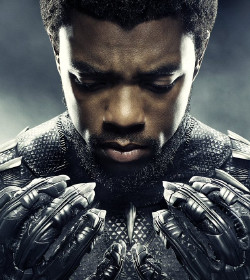 T'Challa (Chadwick Boseman) (Black Panther Quotes, Captain America: Civil War Quotes)