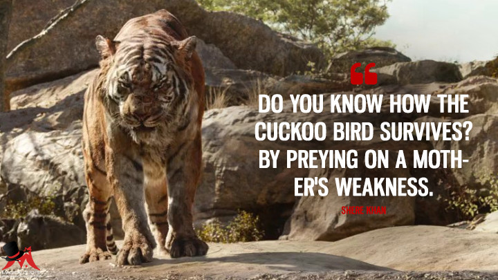 Do you know how the cuckoo bird survives? By preying on a mother's weakness. - Shere Khan (The Jungle Book Quotes)