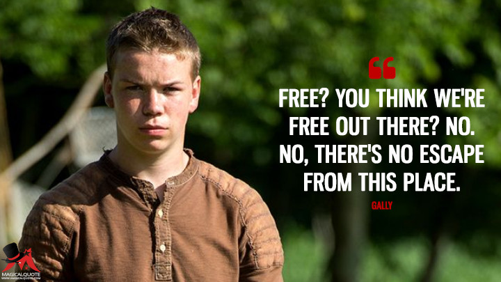 Free? You think we're free out there? No. No, there's no escape from this place. - Gally (The Maze Runner Quotes)