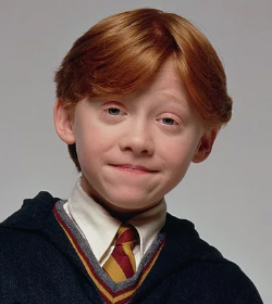 Ron Weasley (Harry Potter and the Sorcerer's Stone Quotes, Harry Potter and the Chamber of Secrets Quotes, Harry Potter and the Order of the Phoenix Quotes, Harry Potter and the Half-Blood Prince Quotes, Harry Potter and the Deathly Hallows Quotes)