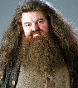 Rubeus Hagrid (Harry Potter and the Sorcerer's Stone Quotes, Harry Potter and the Order of the Phoenix Quotes)