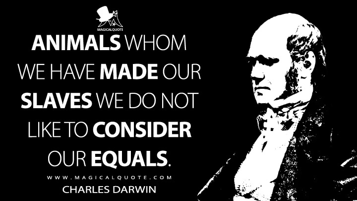 Animals whom we have made our slaves we do not like to consider our equals. - Charles Darwin Quotes