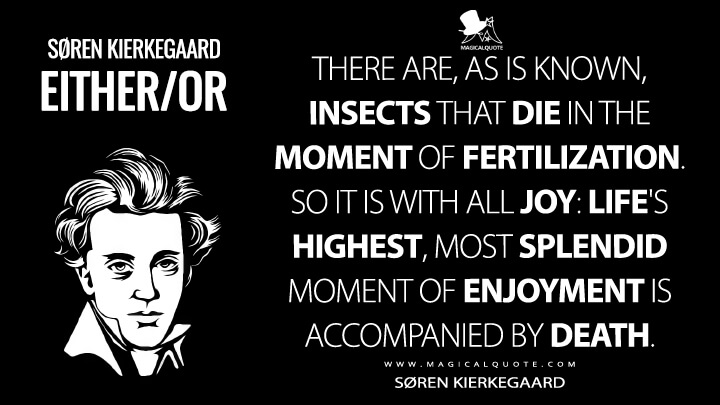 There are, as is known, insects that die in the moment of fertilization. So it is with all joy: life's highest, most splendid moment of enjoyment is accompanied by death. - Søren Kierkegaard (Either/or Quotes)