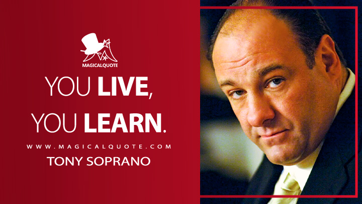 You live, you learn. - Tony Soprano (The Sopranos Quotes)