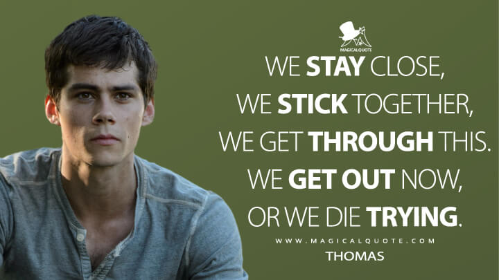 We stay close, we stick together, we get through this. We get out now, or we die trying. - Thomas (The Maze Runner Quotes)