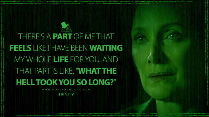 There's a part of me that feels like I have been waiting my whole life for you. And that part is like, "What the hell took you so long?" - Trinity (The Matrix Resurrections Quotes, The Matrix 4 Quotes)