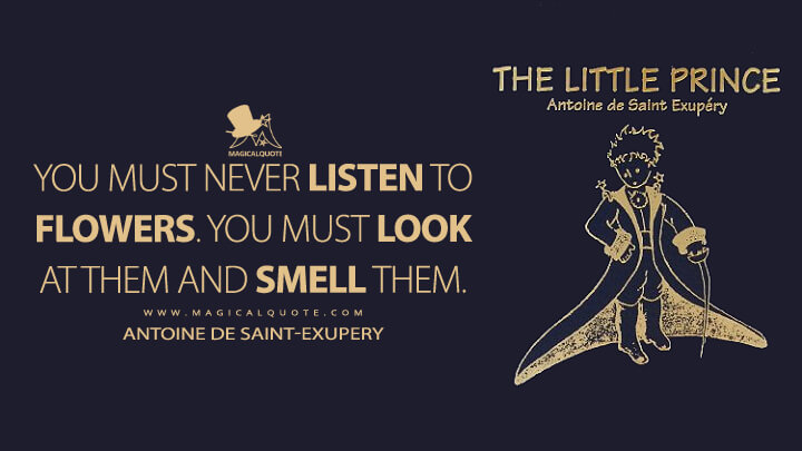 You must never listen to flowers. You must look at them and smell them. - Antoine de Saint-Exupery (The Little Prince Quotes)