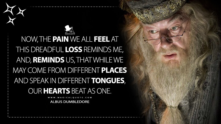 Now, the pain we all feel at this dreadful loss reminds me, and, reminds us, that while we may come from different places and speak in different tongues, our hearts beat as one. - Albus Dumbledore (Harry Potter and the Goblet of Fire Quotes)