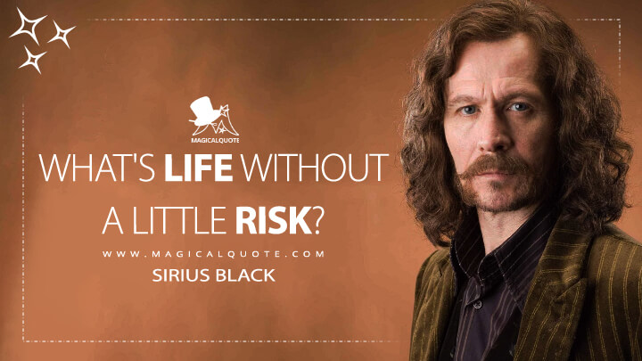 What's life without a little risk? - Sirius Black (Harry Potter and the Order of the Phoenix Quotes)