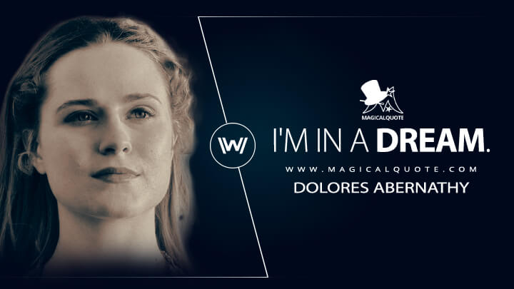 I'm in a dream. -Dolores Abernathy (Westworld HBO Quotes)