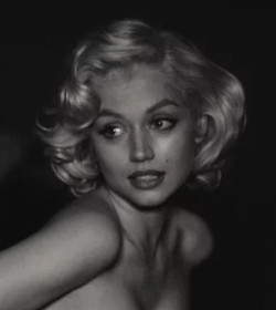 Some of them love Marilyn, some of them hate Marilyn. What's that got