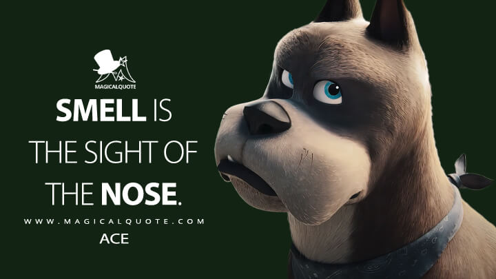 Smell is the sight of the nose. - Ace (DC League of Super-Pets Quotes)
