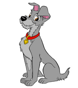 Tramp (Lady and the Tramp 1955 Quotes)