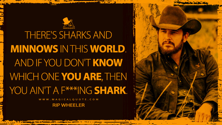 There's sharks and minnows in this world. And if you don't know which one you are, then you ain't a f***ing shark. - Rip Wheeler (Yellowstone TV Show Quotes)