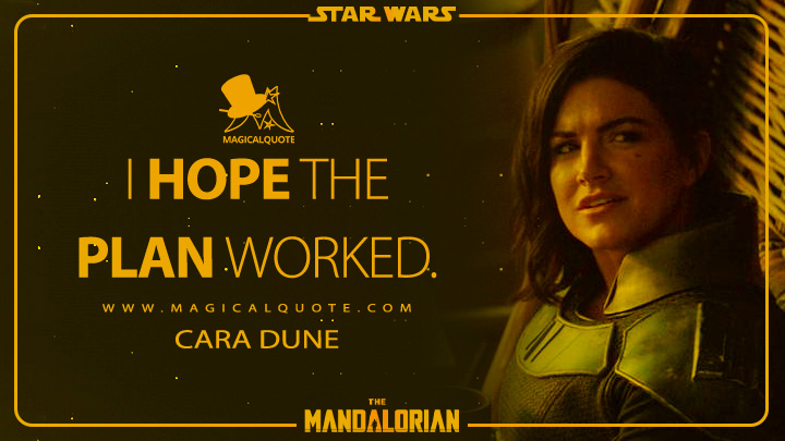 I hope the plan worked. - Cara Dune (The Mandalorian Quotes)