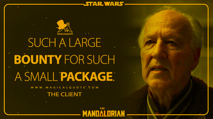 Such a large bounty for such a small package. - The Client (The Mandalorian Quotes)