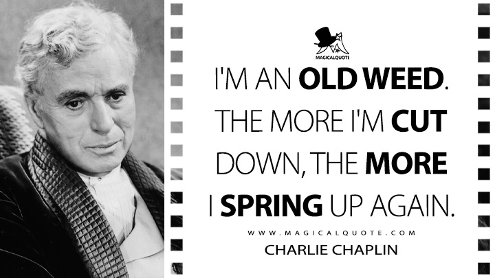 I'm an old weed. The more I'm cut down, the more I spring up again. - Charlie Chaplin (Limelight Quotes)
