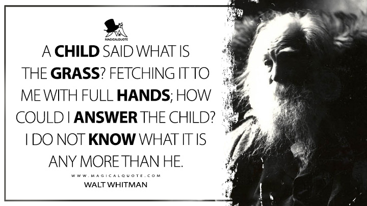 A child said What is the grass? fetching it to me with full hands; how could I answer the child? I do not know what it is any more than he. - Walt Whitman (Leaves of Grass Quotes)