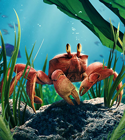 Sebastian (The Little Mermaid 2023 Quotes)