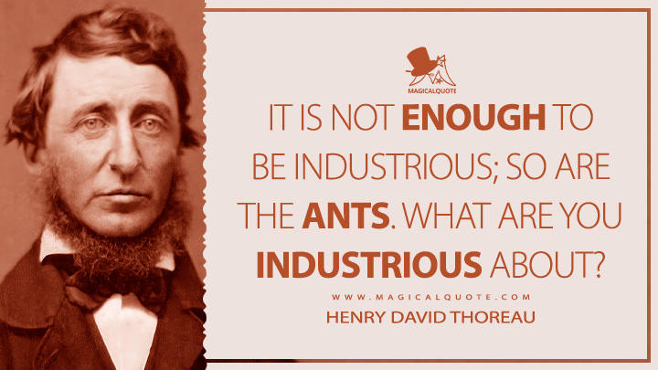 It is not enough to be industrious; so are the ants. What are you industrious about? - Henry David Thoreau Quotes