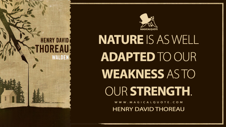 Nature is as well adapted to our weakness as to our strength. - Henry David Thoreau (Walden; or, Life in the Woods Quotes)