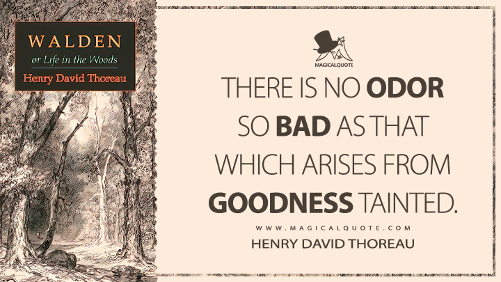 There is no odor so bad as that which arises from goodness tainted. - Henry David Thoreau (Walden; or, Life in the Woods Quotes)