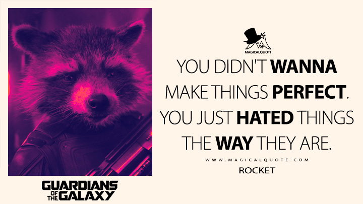 You didn't wanna make things perfect. You just hated things the way they are. - Rocket (Guardians of the Galaxy Vol. 3 Quotes)