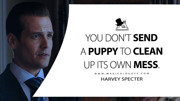 You don't send a puppy to clean up its own mess. - Harvey Specter (Suits TV Series USA Quotes)