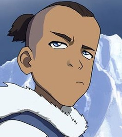 Sokka (Avatar: The Last Airbender Quotes)