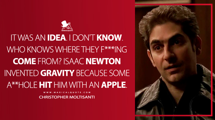 It was an idea. I don't know. Who knows where they f***ing come from? Isaac Newton invented gravity because some a**hole hit him with an apple. - Christopher Moltisanti (The Sopranos HBO TV Series Quotes)