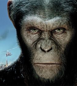 Caesar (Rise of the Planet of the Apes 2011 Movie Quotes)
