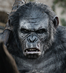 Koba (Dawn of the Planet of the Apes 2014 Movie Quotes)