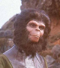 Lucius (Planet of the Apes 1968 Movie Quotes)