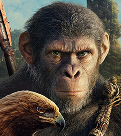 Noa (Kingdom of the Planet of the Apes 2024 Movie Quotes)