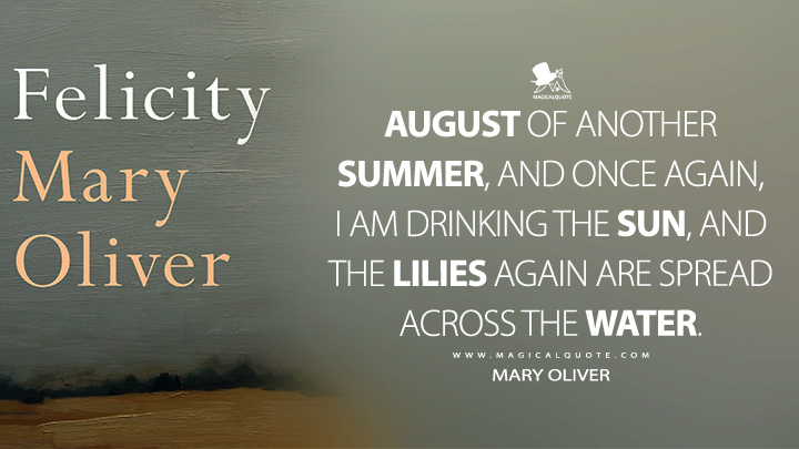 August of another summer, and once again, I am drinking the sun, and the lilies again are spread across the water. - Mary Oliver (Felicity Book Quotes)