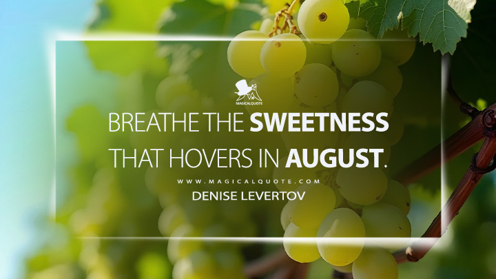 Breathe the sweetness that hovers in August. - Denise Levertov (August Quotes)
