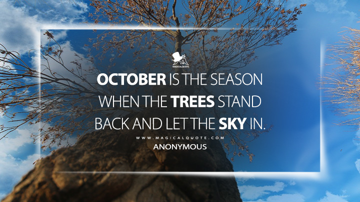 October is the season when the trees stand back and let the sky in. - Anonymous (October Quotes)