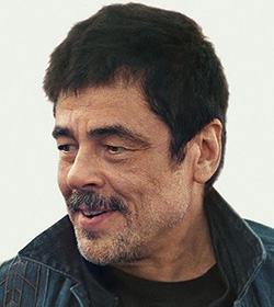 Sensei Sergio (One Battle After Another 2025 Movie Quotes)