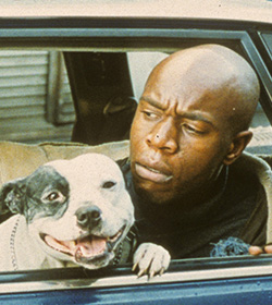 Vinny (Snatch. 2000 Movie Quotes)